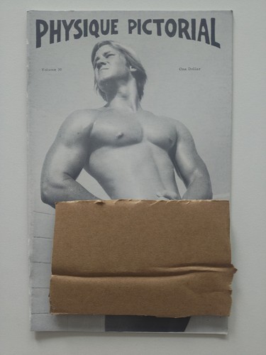 Physique pictorial volume - volume, 30