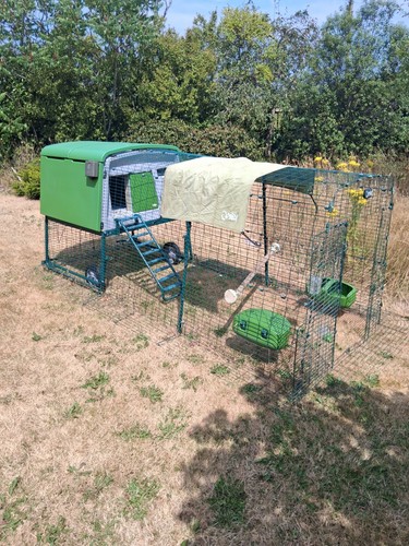 Omlet eglu cube chicken - chicken, coop