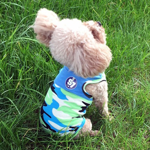 Dog clothing summer vest pet - clothing,