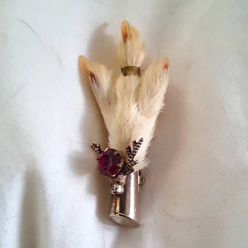 Rabbit foot taxidermy - foot, keychain