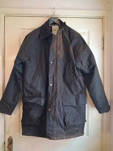 Brown waxberry size cotton - size,