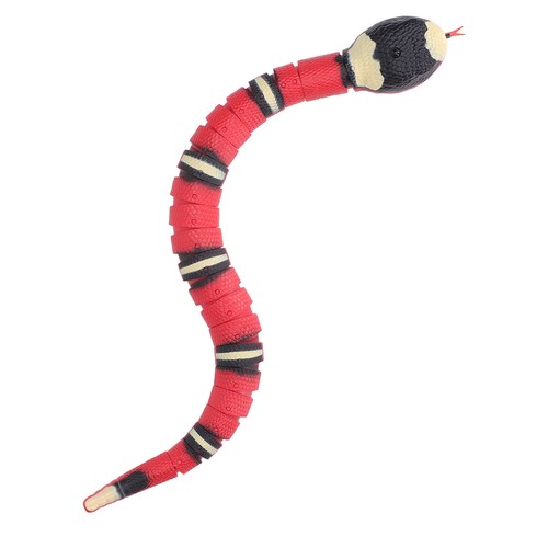 Remote control snake - snake, toy