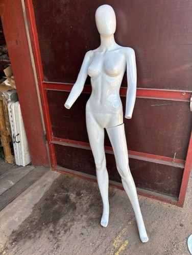 Full body mannequin - body,