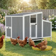 Chicken Coop, Wooden Chicken