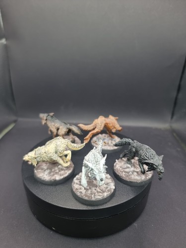 Fully painted fenrisian - 5,