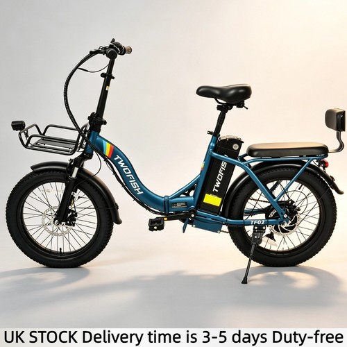 20in electric bike 250w - 20in,