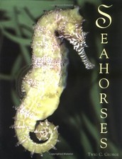 Seahorses