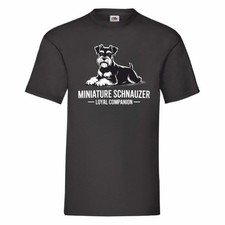 Miniature Schnauzer Loyal