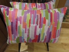Harlequin  'Trattino' - PAIR-