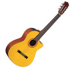 Takamine EG-124 C Natural