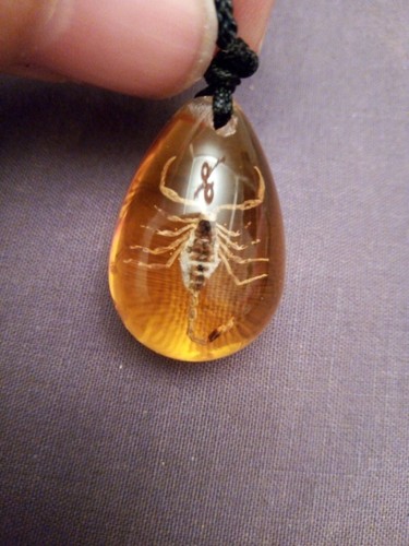 Amber with golden black - amber,