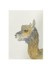 Painting Watercolour  Alpaca By Kenna A6 Unframed Original Art
