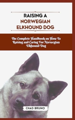 Norwegian elkhound dog the - elkhound,