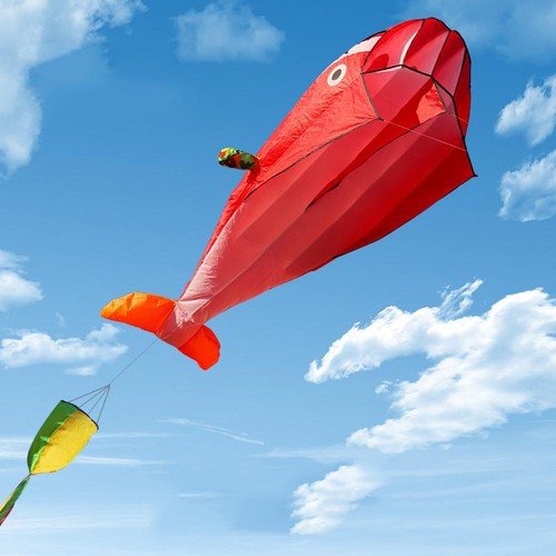Dolphin whale kite - whale, –