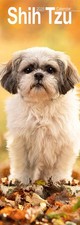 Shih Tzu Slim 2026 Calendar |