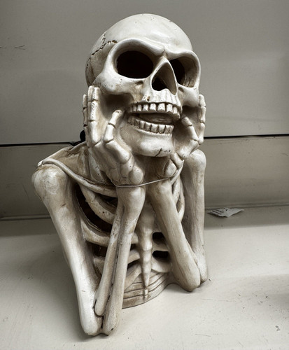 White resin skull - white,