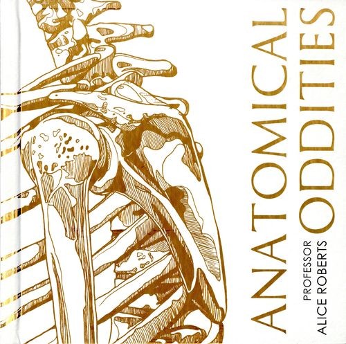 Anatomical oddities - anatomical,