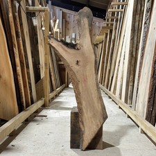 Holm Oak Wood Slab Plank Waney