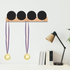 Hockey Puck Display Case