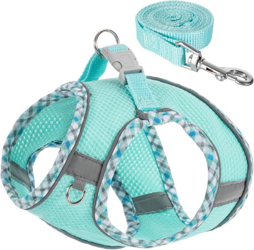 Dog harness and leash set - leash, step