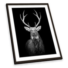 Stag Antlers Head Black FRAMED ART PRINT Picture Portrait Artwork