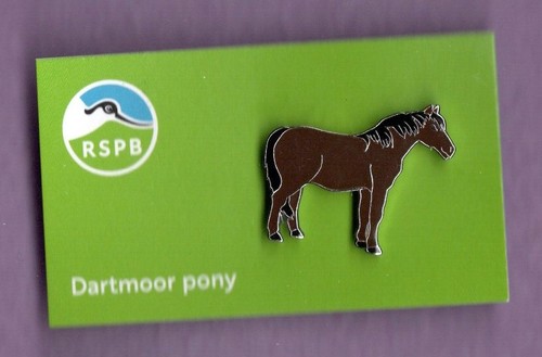 Rspb pin badges the - pin,