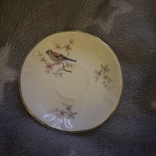 Royal Worcester Palissy Petite