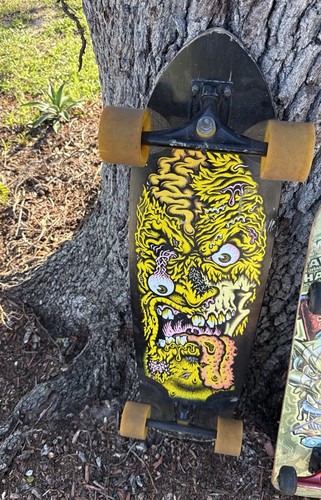Longboard santa cruz rob face - longboard,