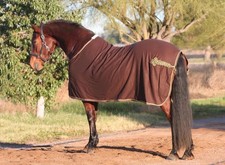 EOUS Wool Dress Show Sheet