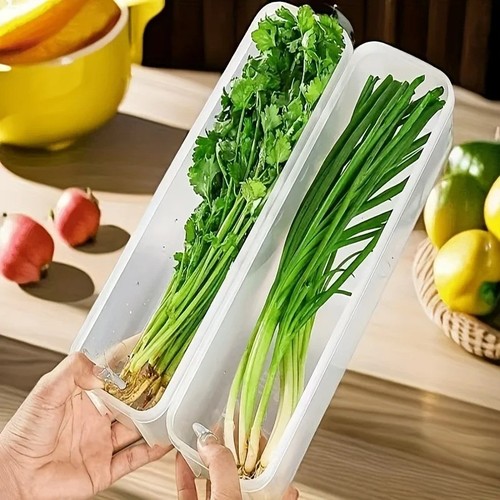 Clear food storage - food,