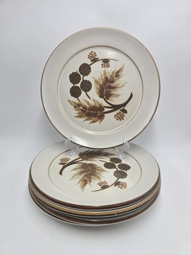 Denby cotswold dinner plates - denby,