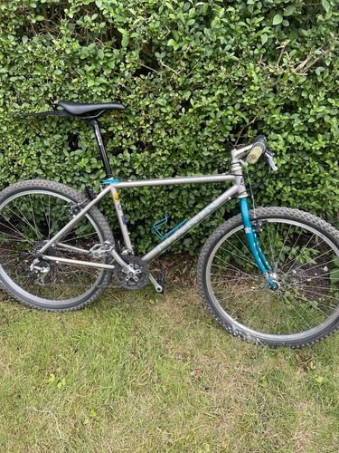 Retro marin bobcat trail - retro,