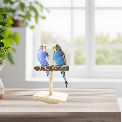 Bird perch toy solid wood - bird,