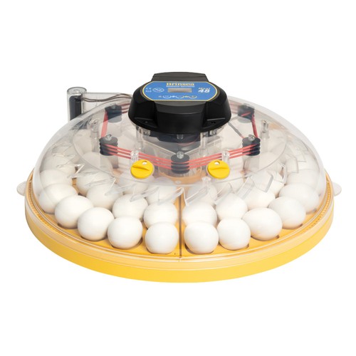Brinsea maxi advance - 48,