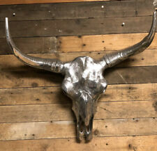 Long horn Skull Polished