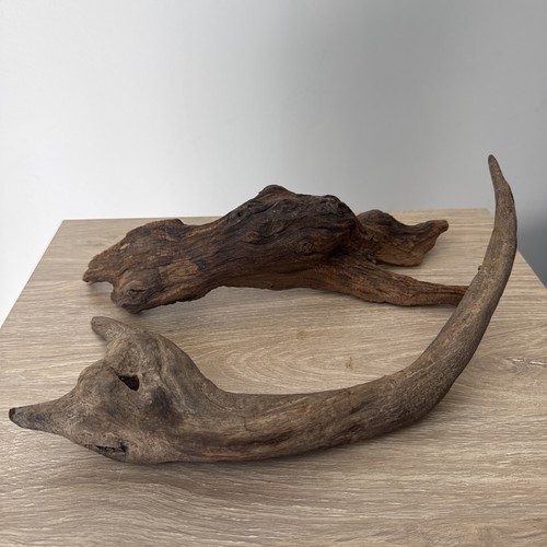 Large natural driftwood - large,