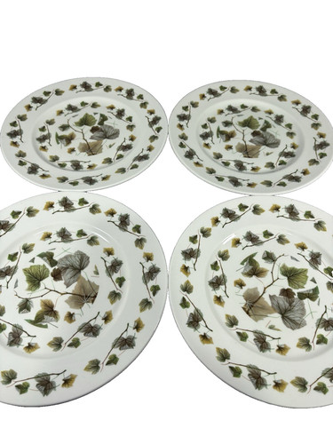 Vintage botanical set 4 - botanical,