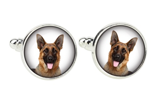 German shepherd dog alsatian - german,