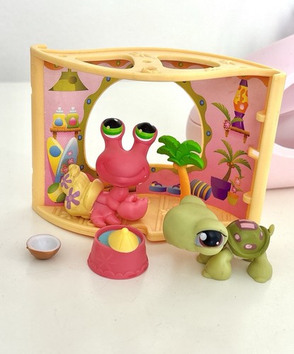 Crab and turtle with pet - 8,