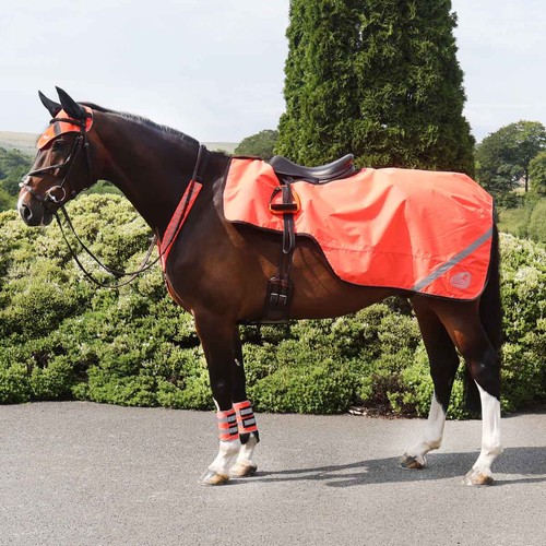 Masta waterproof wrap around - masta,