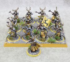BARATHEON STAG KNIGHTS x12 + NOBLE Well Painted ASOIAF Dark Sword 24419