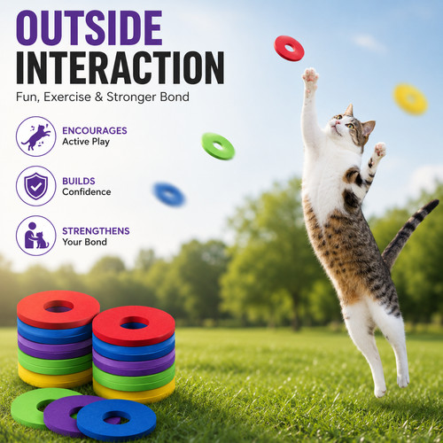 Interactive cat dog toy - interactive,