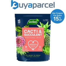 Westland cacti cactus - westland,