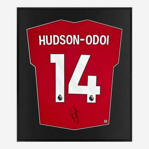 Framed hudson odi signed - framed, hudson-odi