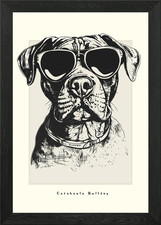Catahoula Bulldog Sketch