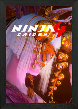 Ninja Gaiden 4 Character