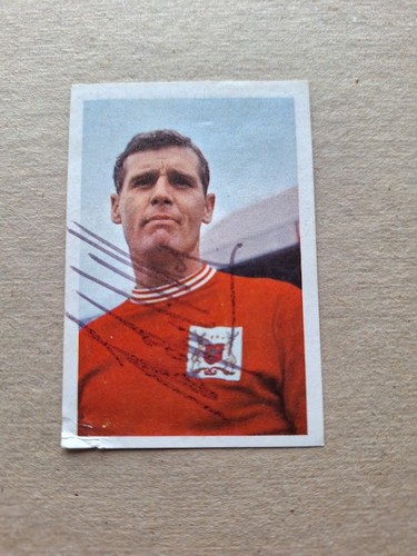 Bob mckinlay nottingham forest - bob,