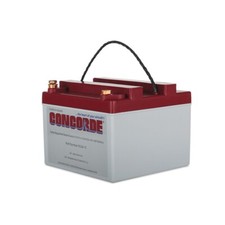 CONCORDE RG24-10 AIRCRAFT