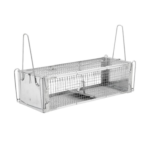 Rat mouse trap - rat,