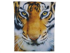 Optic Glasses Cleaning